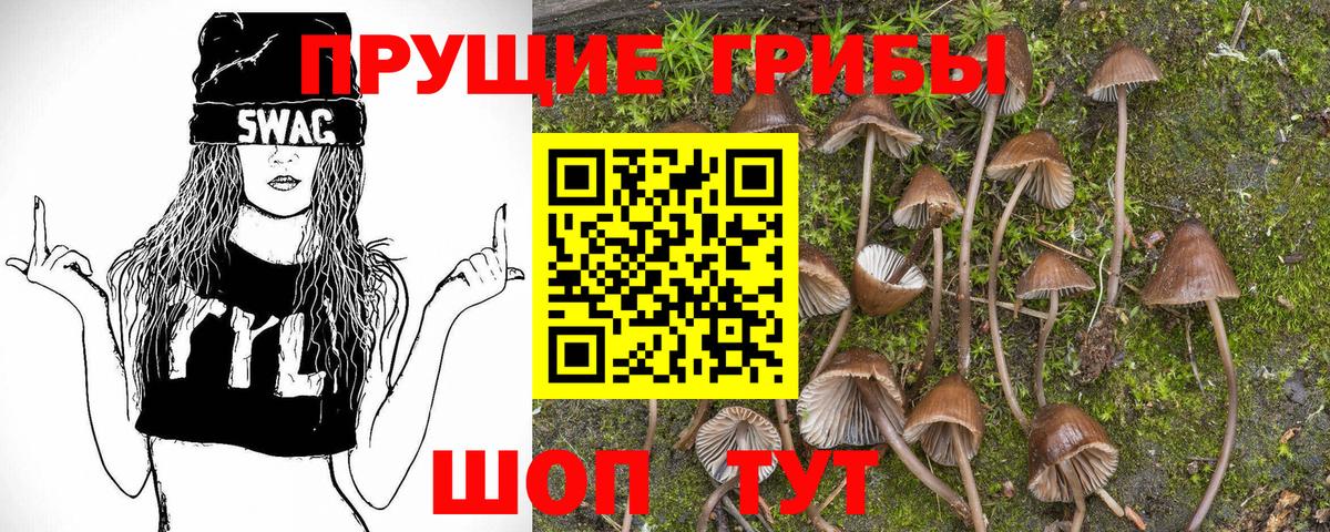 Смоленск  наркота  Вход с VPN  Галлюциногенные грибы Psilocybine cubensis 