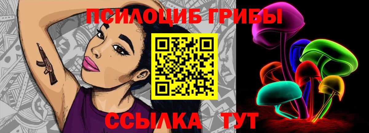 Псилоцибиновые грибы Psilocybe Смоленск